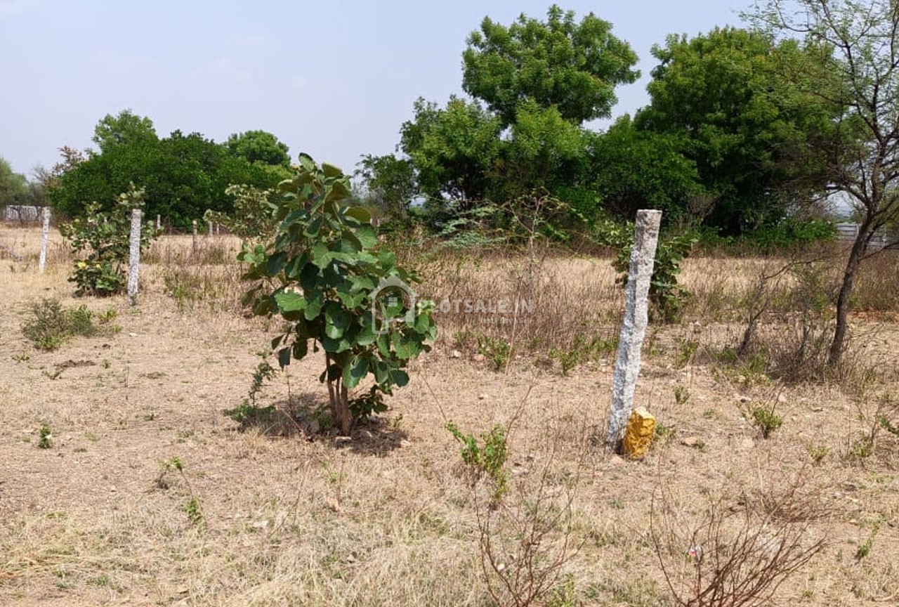 Happy-Homes-Happy-Estates-Pvt-Lavillette-Eiffel-Park-Phase-I-Creek-Resort-II-Kethi-Reddy-Pally-Moinabad-Rangareddy