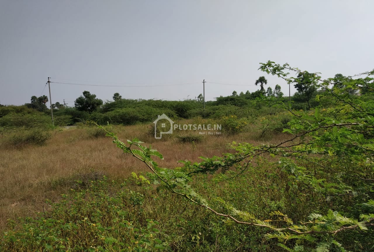 Silpa-Ambiance-Ismailkhanguda-Village-0