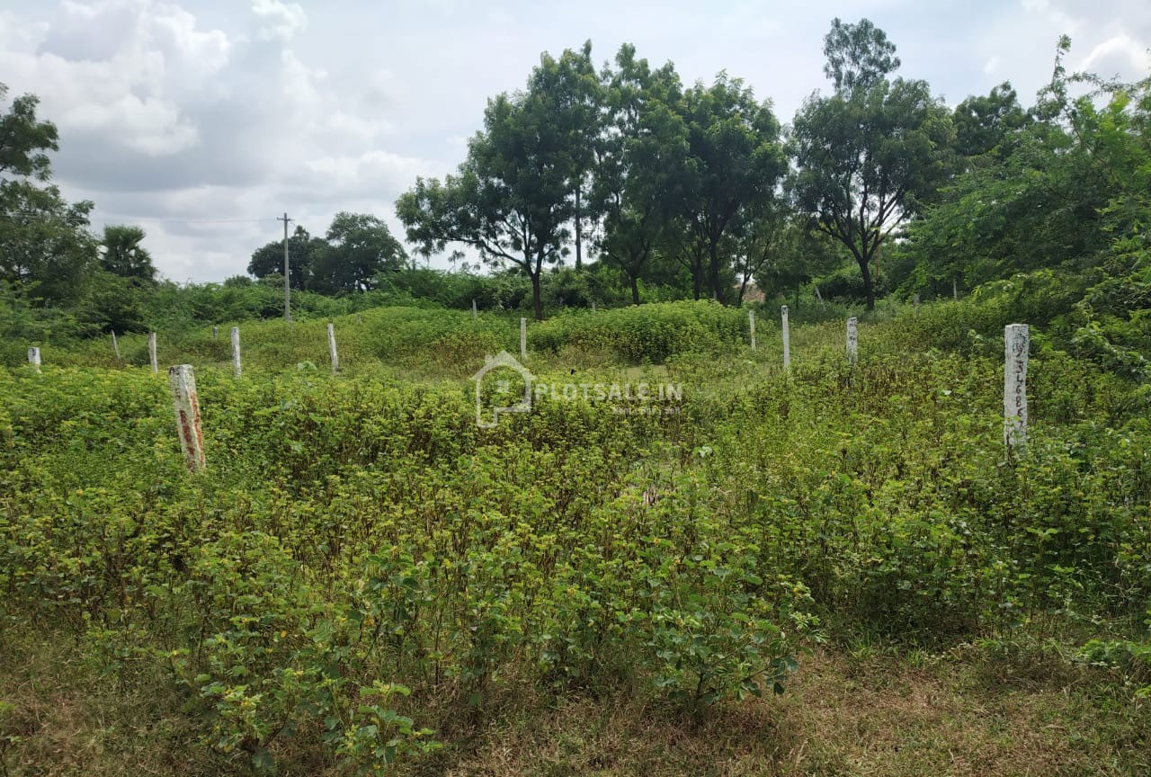 Swagruha-Pedda-Amberpet-2